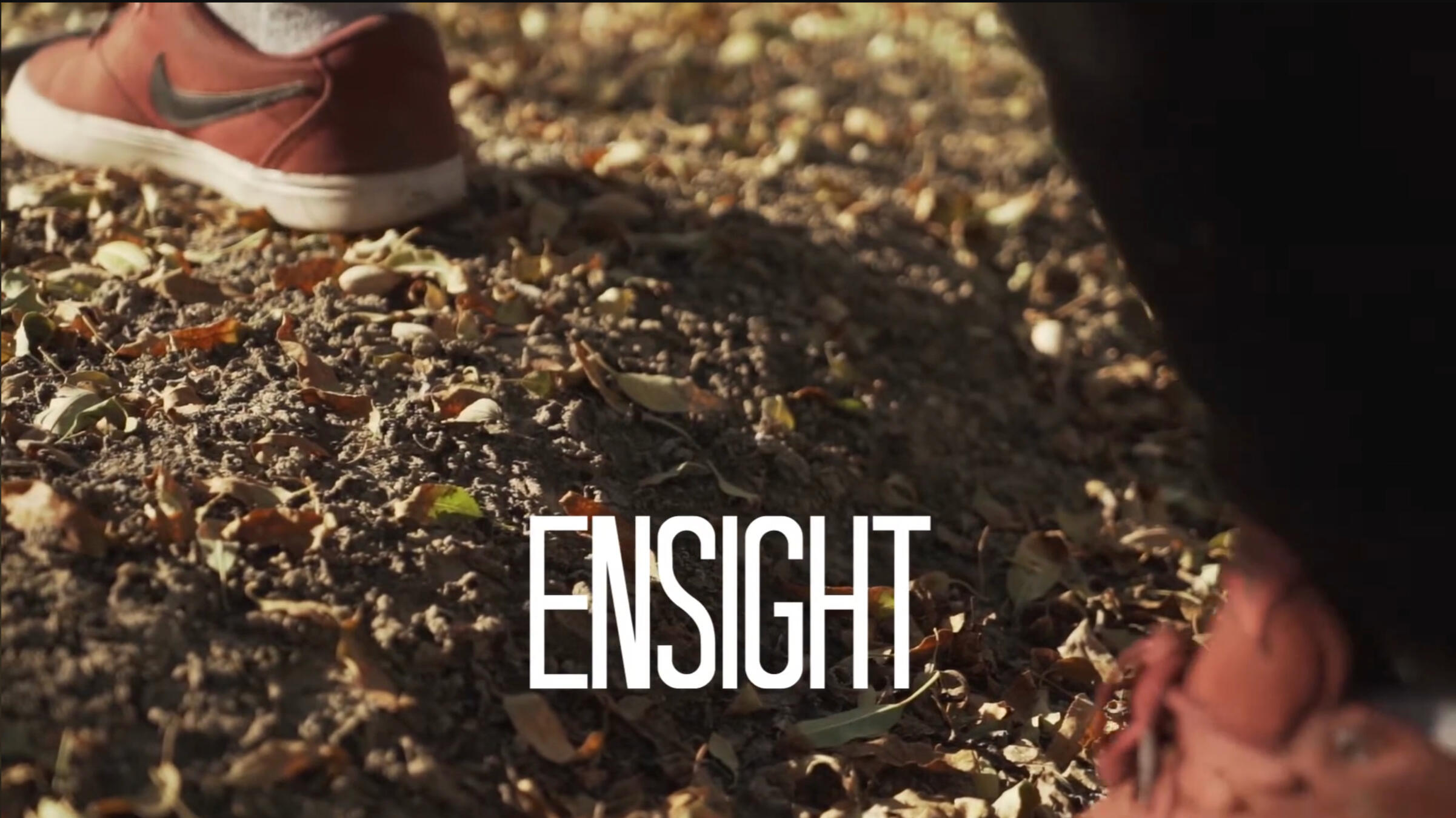 ESIGHT